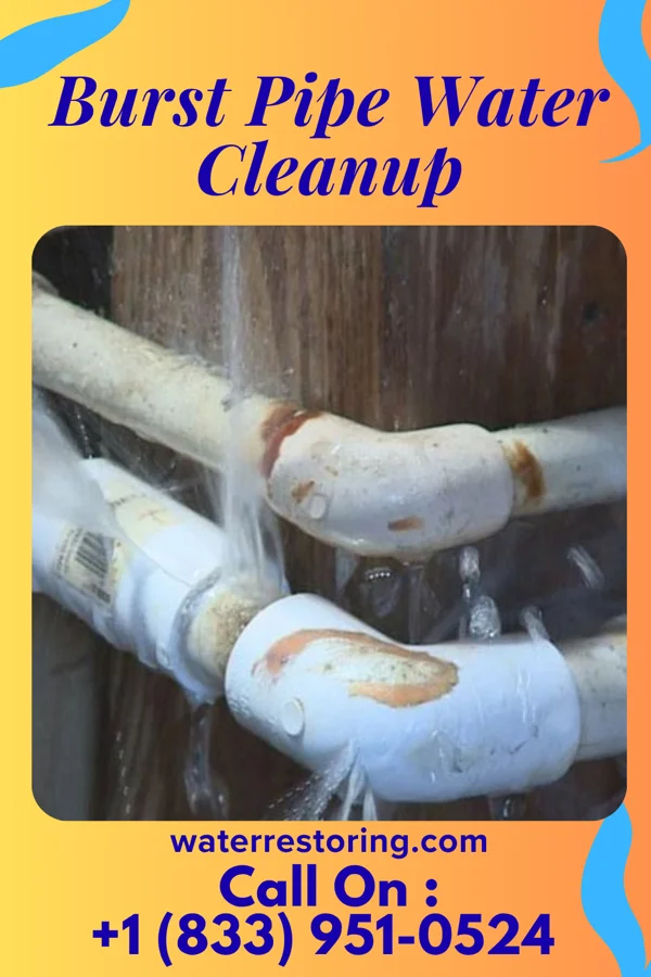 Burst Pipe Water Cleanup in Perrysburg, OH