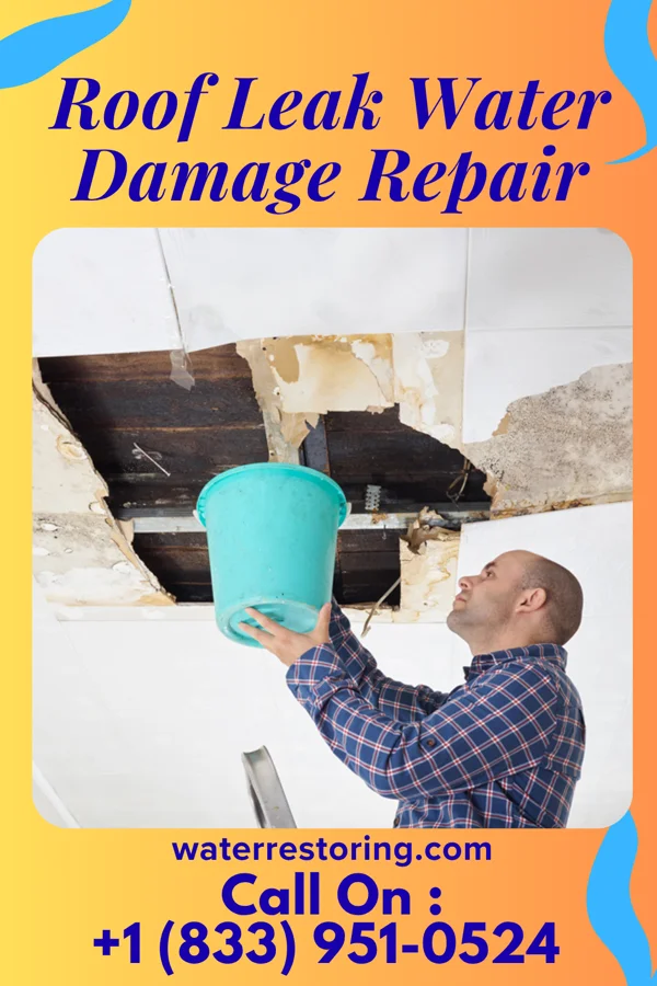 Roof Leak Water Damage Repair in Perrysburg, OH