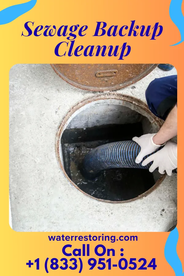 Sewage Backup Cleanup in Perrysburg, OH