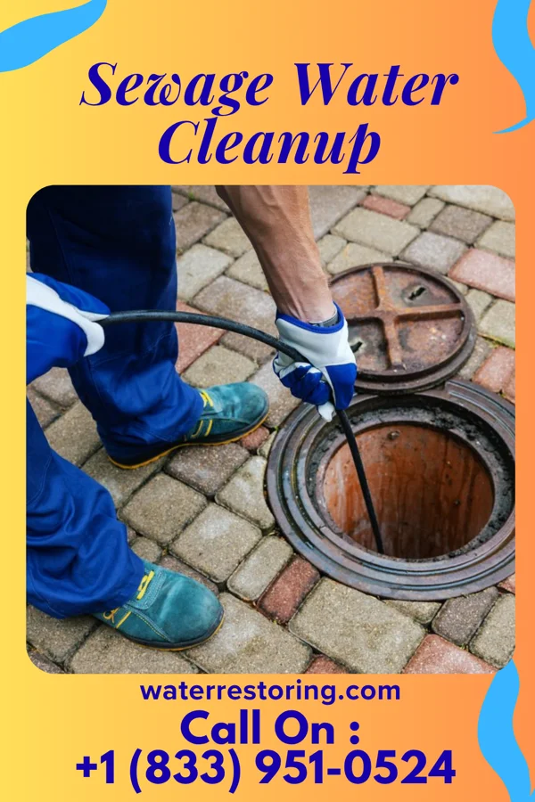 Sewage Water Cleanup in Perrysburg, OH